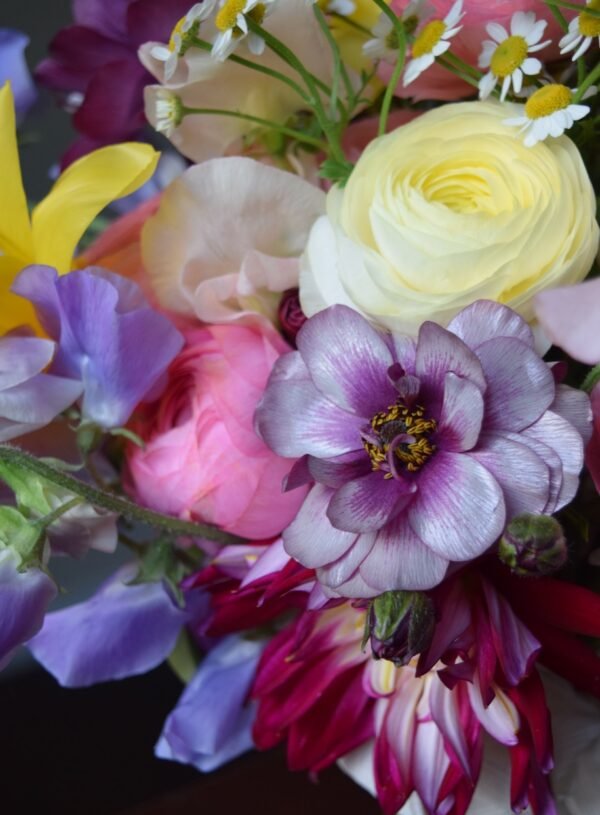 first of Spring stems