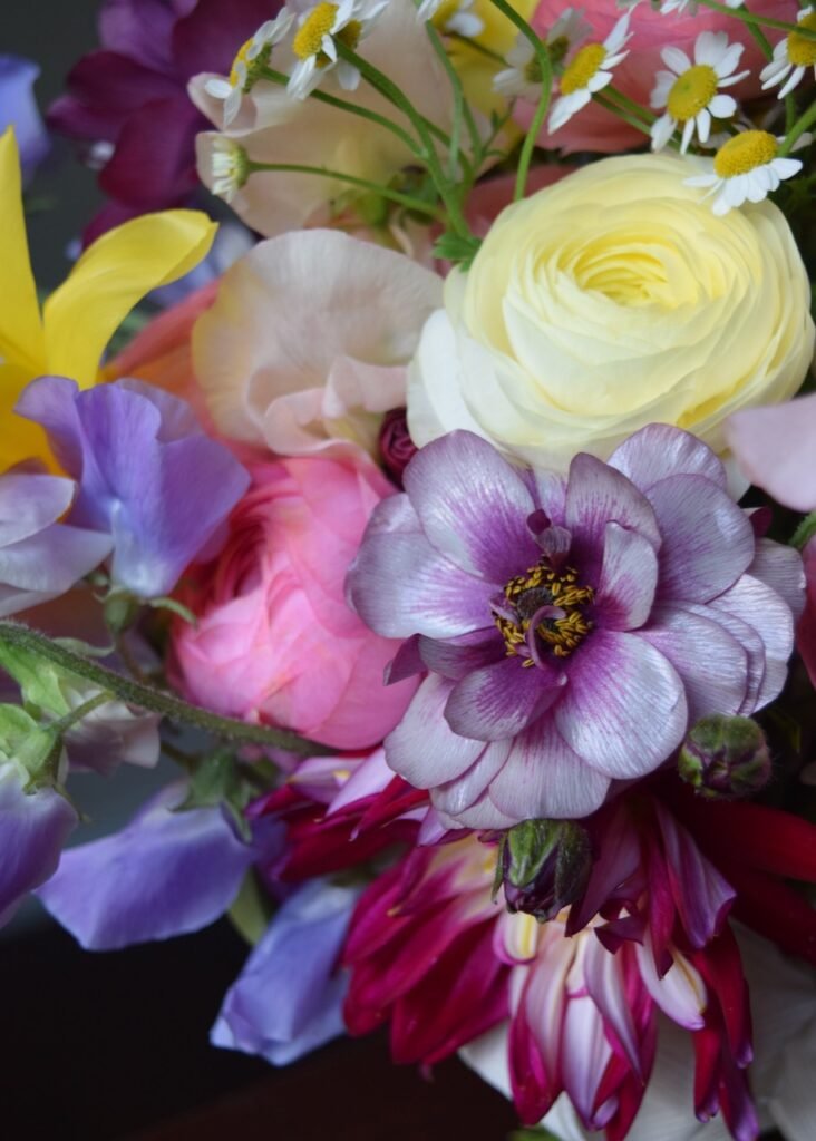 first of Spring stems